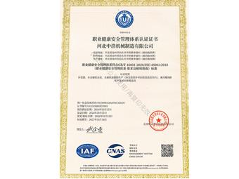 ISO45001職業(yè)健康安全管理體系認(rèn)證證書 中文